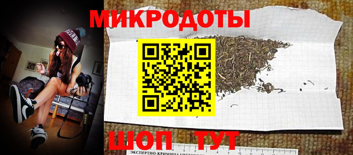 Псилоцибиновые грибы Psilocybine cubensis Отрадный